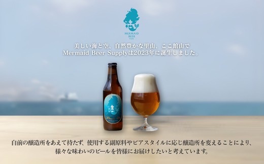 館山ブロンドエール 6本セット【配送不可地域：離島】【1578218】