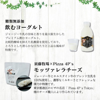 奉納・高評価!　ガストロノミーアワード大賞!　須藤牧場ジャージー乳製品つめあわせセット【配送不可地域：離島】【1579723】