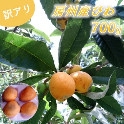 【訳あり】館山の温暖な気候育ち 房州びわ 700g以上【配送不可地域：離島・北海道・沖縄県・東北・中国・四国・九州】【1486469】