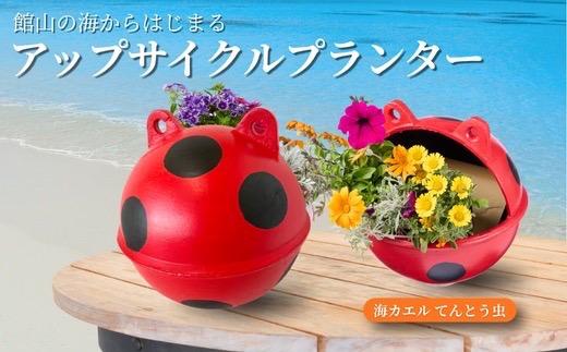 アップサイクルプランター　海カエルてんとう虫(1個)【1681045】