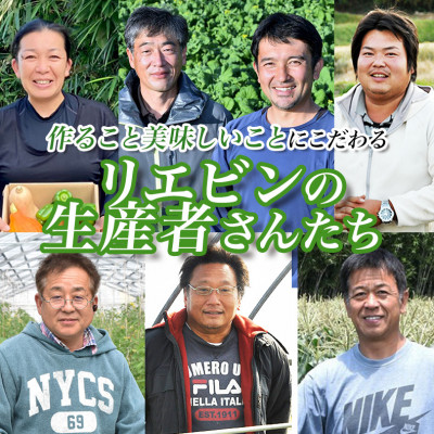 野菜ソムリエプロ厳選!こだわりの旬野菜BOX「リエビン」季節の野菜セット【配送不可地域：離島・沖縄県】【1488314】