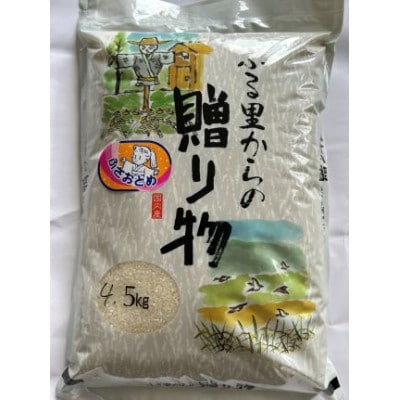 千葉県館山産ふさおとめ　精米　4.5kg【1735244】
