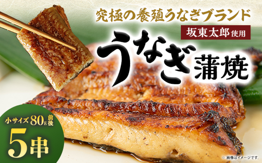 天然 に近づけた究極の養殖 鰻「坂東太郎 使用」 うなぎ 蒲焼 小サイズ 80g前後×5串【配送不可地域：離島】【1488907】