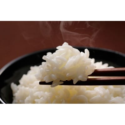 蜊闡臥恁鬢ィ螻ア逕」繧ウ繧キ繝偵き繝ェ縲邊セ邀ウ縲4.5kg縲1735245縲