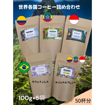 心を込めて作られたレギュラーコーヒー5種(各100g)+水出しコーヒーパック90g【1588167】