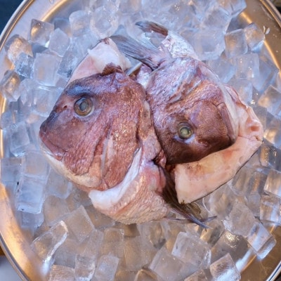 真鯛かぶと ハーフカット 2尾分×2パック 計2kg【配送不可地域：離島】【1665271】