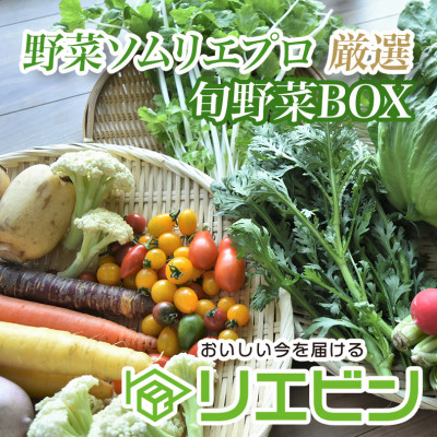 【毎月定期便】【上旬発送】こだわりの旬野菜BOX「リエビン」季節の野菜セット全12回【配送不可地域：離島・沖縄県】【4012345】