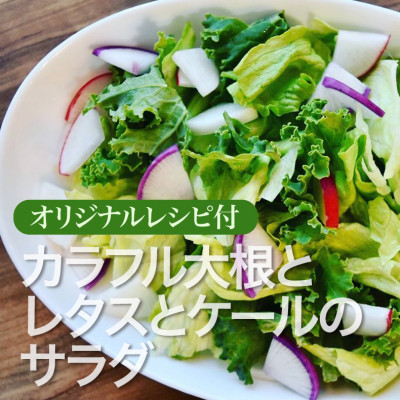 野菜ソムリエプロ厳選!こだわりの旬野菜BOX「リエビン」季節の野菜セット【配送不可地域：離島・沖縄県】【1488314】