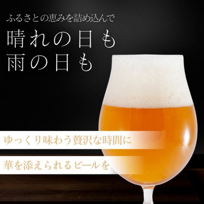 館山ブロンドエール 12本セット【配送不可地域：離島】【1578240】