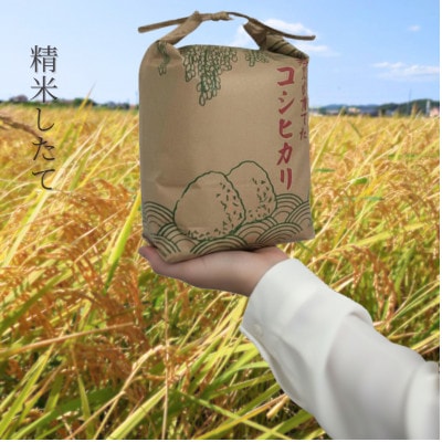 館山市九重産コシヒカリ　5kg 精米【1728953】