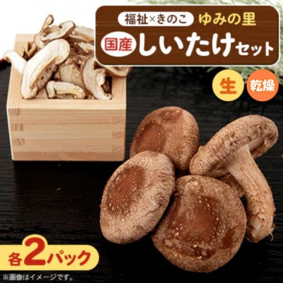 【農福連携】千葉県館山産しいたけセット(生しいたけ110g×2パック・乾燥しいたけ30g×2パック)【配送不可地域：離島・沖縄県】【1486713】