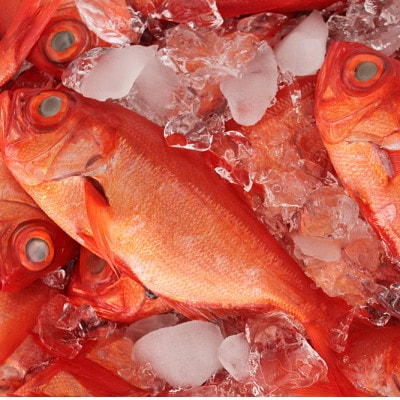 地金目鯛炊き込みご飯のもと　2パック【配送不可地域：離島】【1655593】