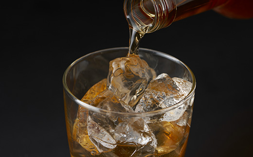 譴驟偵鬢ィ螻ア蝓(繧「繝ォ繧ウ繝シ繝ォ蠎ヲ謨ー 20蠎ヲ)縲500mlテ1譛ャ縲1486742縲