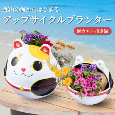 アップサイクルプランター　海カエル招き猫(1個)【1681030】