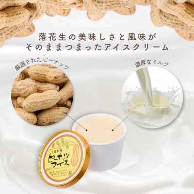 譛ィ譚代ヴ繝シ繝翫ャ繝縺ョ豼蜴壹ヴ繝シ繝翫ャ繝繧「繧、繧ケ(6蛟)縲宣埼∽ク榊庄蝨ー蝓滂シ夐屬蟲カ縲代1738424縲