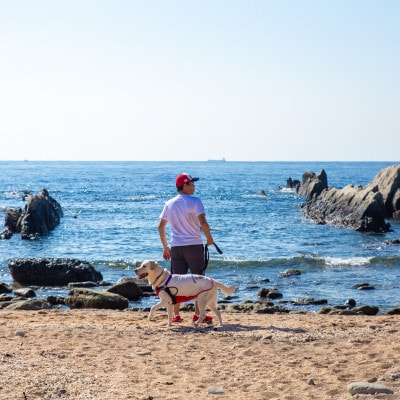 ã宿æ³12000åã¯ãŒãã³åžã DOG DEPT RESORT 通山ç¬ç³/宿¿çœæµ å
±éãã±ããã1645912ã