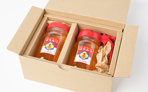 ひふみ養蜂園 はちみつ詰替えセット 計600g(300g×2)【1509094】