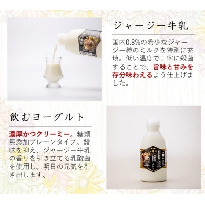 奉納・高評価!　ガストロノミーアワード大賞!　須藤牧場ジャージー乳製品つめあわせセット【配送不可地域：離島】【1579723】