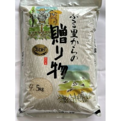 千葉県館山産コシヒカリ　精米　4.5kg【1735245】
