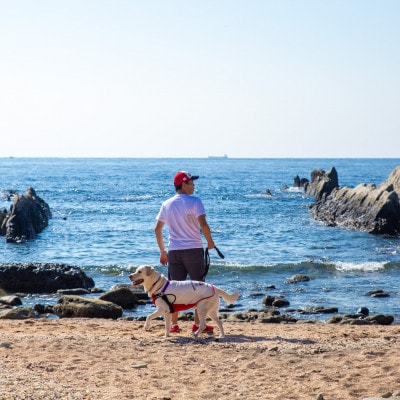 ã宿æ³9000åã¯ãŒãã³åžã DOG DEPT RESORT 通山ç¬ç³/宿¿çœæµ å
±éãã±ããã1645902ã