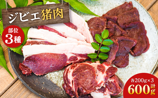 ジビエ猪肉部位3種セット【配送不可地域：離島】【1483739】