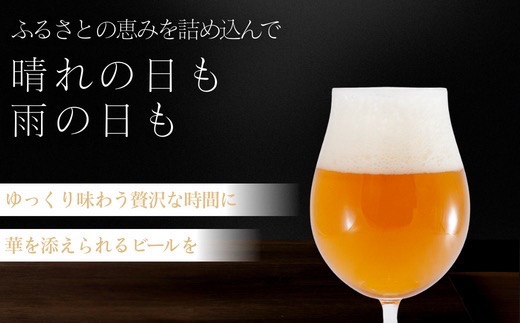 館山ブロンドエール 6本セット【配送不可地域：離島】【1578218】