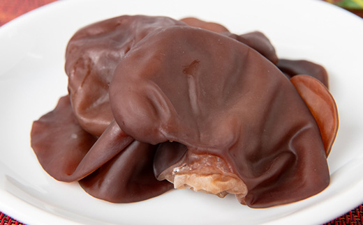 きくらげパウダー20g×5袋 就労継続支援A/B型併用事業所「ゆみの里」【1687654】