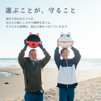 繧「繝繝励し繧、繧ッ繝ォ繝励Λ繝ウ繧ソ繝シ縲豬キ繧ォ繧ィ繝ォ諡帙″迪ォ(1蛟)縲1681030縲