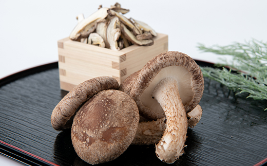 【農福連携】千葉県館山産しいたけセット(生しいたけ110g×2パック・乾燥しいたけ30g×2パック)【配送不可地域：離島・沖縄県】【1486713】