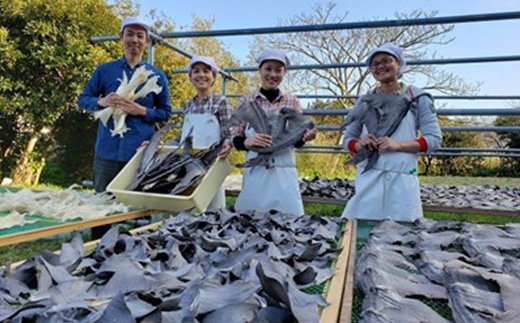 フカヒレステーキ尾びれ2枚入(220g×2枚)　尾びれ11-12cm【配送不可地域：離島】【1208282】