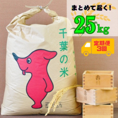 【毎月定期便】吉田米屋イチオシ!白米25kg つやつや館山産コシヒカリ1等米全3回【4060561】