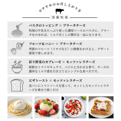 モッツァレラチーズ1個&ブラータチーズ1個セット【配送不可地域：離島・沖縄県】【1704140】