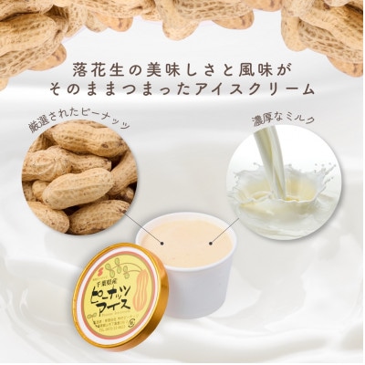 木村ピーナッツの濃厚ピーナッツアイス(12個)【配送不可地域：離島】【1738426】