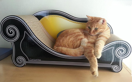 ç«ã®ããããçªãšããœãã¡ãŒãã«ãªã«ãªãŒã BasicãããªãŠãããã©ãã¯ãã°ã©ã³ã°ã©ã³ãµã€ãºã1512358ã