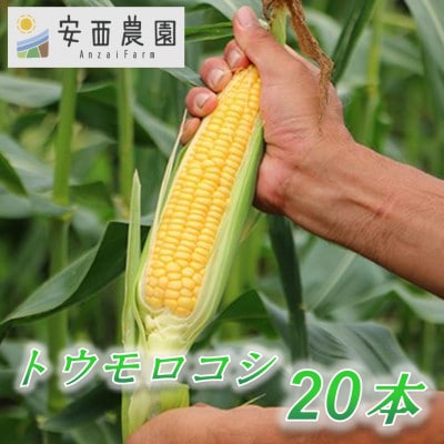 【先行予約　2025年5月末以降発送】安西農園の驚くほどに甘いトウモロコシ 20本【配送不可地域：離島・北海道・沖縄県・東北・中国・四国・九州】【1486584】