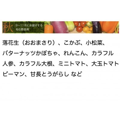 【毎月定期便】【中旬発送】こだわりの旬野菜BOX「リエビン」季節の野菜セット全12回【配送不可地域：離島・沖縄県】【4012346】