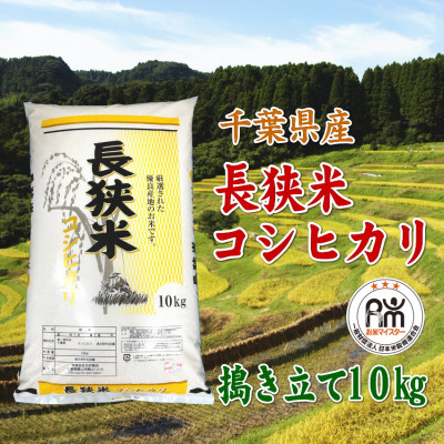 令和6年産千葉県産長狭米コシヒカリ精米10kg【1576561】