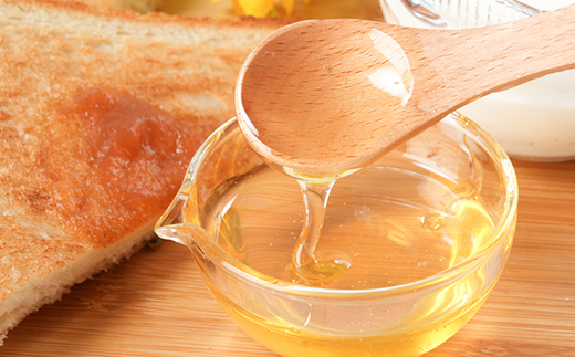 ひふみ養蜂園 はちみつ詰替えセット 計600g(300g×2)【1509094】