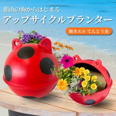 アップサイクルプランター　海カエルてんとう虫(1個)【1681045】