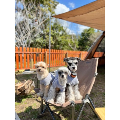 館山サザンビレッジキャンプ場　宿泊利用券5,000円分　海の近くでキャンプを楽しもう♪【1718385】