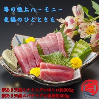 【訳あり】天然ミナミマグロ中トロ＆天然メバチマグロ赤身(それぞれ約300g)【配送不可地域：離島】【1585564】