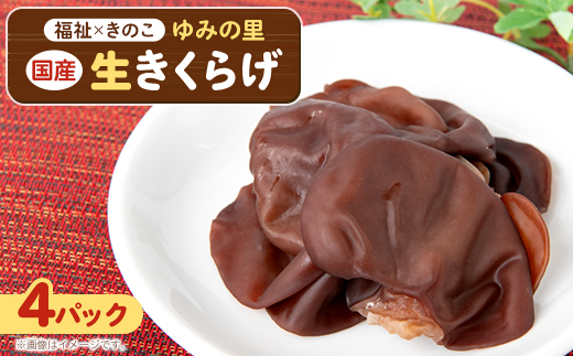 【農福連携】千葉県館山産 生きくらげ100g×4パック 就労継続支援A/B型併用事業所「ゆみの里」【配送不可地域：離島】【1486711】