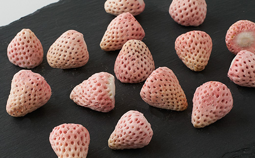 縺阪*縺医繝輔ぃ繝シ繝縺ョ蜊玲袷邱城、ィ螻ア繝輔Μ繝シ繧コ繝峨Λ繧、繝輔Ν繝シ繝 3遞ョ鬘槭1487571縲