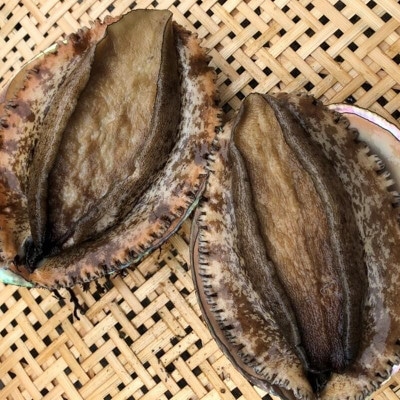 【先行予約】【金曜日発送】漁師直送!天然活メガイアワビ約500〜600g(1〜2枚)【配送不可地域：離島・北海道・沖縄県・中国・四国・九州】【1693534】