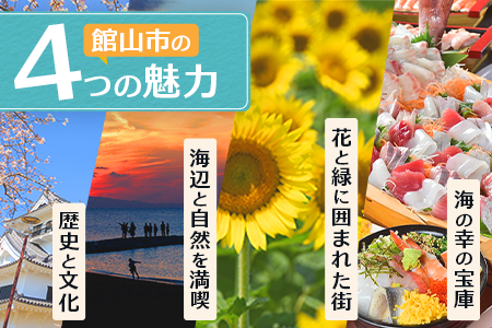 エンジョイ館山観光券 3,000円分【1655702】