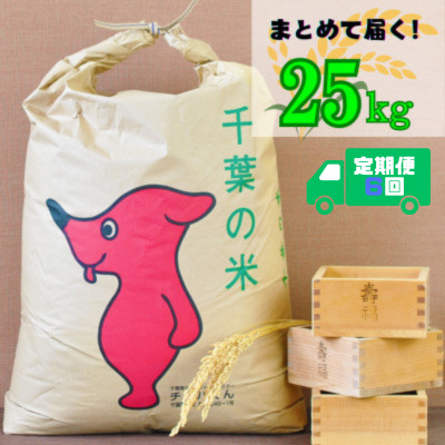 【毎月定期便】吉田米屋イチオシ!白米25kg つやつや館山産コシヒカリ1等米全6回【4060564】