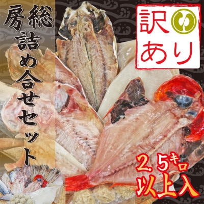 【訳あり】房総規格外詰め合せセット　2.5kg以上(干物・切り身・漬け魚・すり身等)【配送不可地域：離島】【1487432】