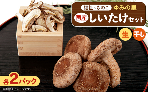 【農福連携】千葉県館山産しいたけセット(生しいたけ110g×2パック・乾燥しいたけ30g×2パック)【配送不可地域：離島・沖縄県】【1486713】