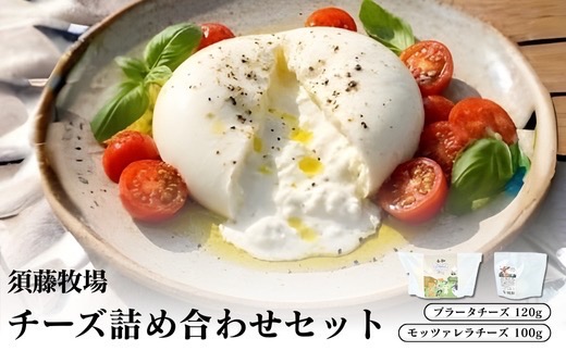 モッツァレラチーズ1個&ブラータチーズ1個セット【配送不可地域：離島・沖縄県】【1704140】