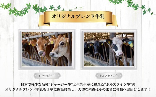 【新嘗祭奉納】須藤牧場の低温殺菌ノンホモ牛乳 900ml×2本【配送不可地域：離島】【1487101】